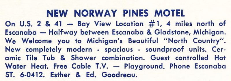 Norway Pines - Vintage Postcard (newer photo)
